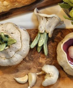 Alternative view of Sprouting Garlic Bulb